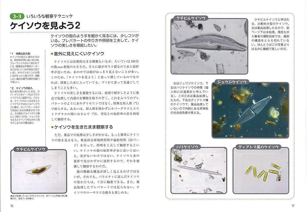 電子顕微鏡と周辺機器 上手な装置の使い方 大型本（大型本） Amazon.co.jp: 顕微鏡で見るミクロの世界: 仕組み・使い方・撮影
